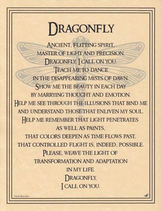 EPDRA.jpg Dragonfly poster