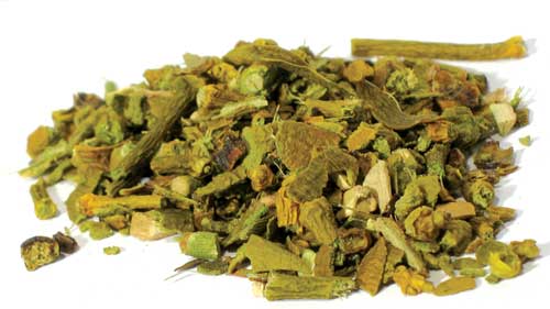 HMISC_B Mistletoe Cut 1oz (phoradendron Flavescens)