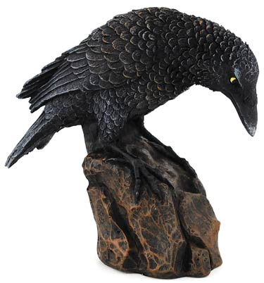 SR729.jpg Downward Looking Raven 5 1/2"