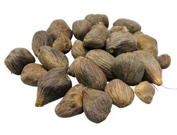 VIKI3EB.jpg 1# Ikin 3 Eyes (Palm Oil Seed)
