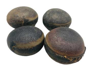 VOJOB.jpg Ojo De Buey (Ox Eye)